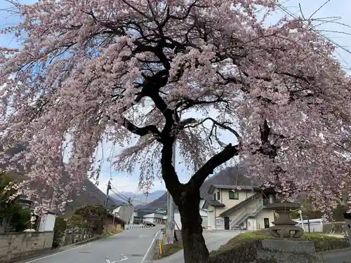 山家神社の自然