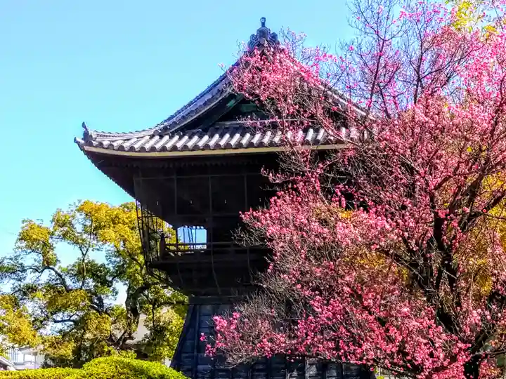 建中寺のその他建物
