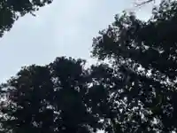 大宮温泉神社(栃木県)