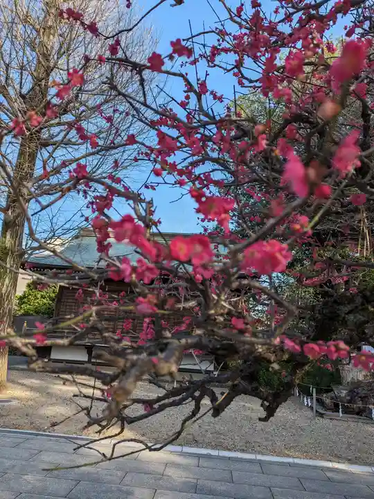 布多天神社(東京都)