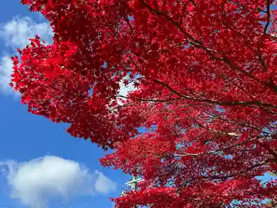 高野山金剛峯寺(和歌山県)