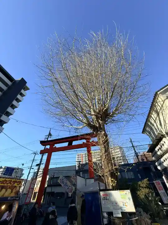 川越熊野神社(埼玉県)