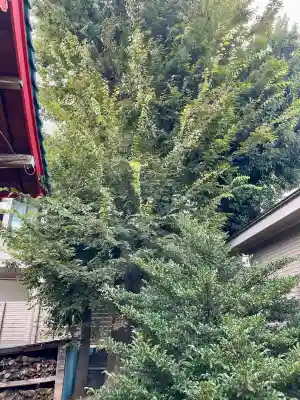 中田出世稲荷神社(東京都)
