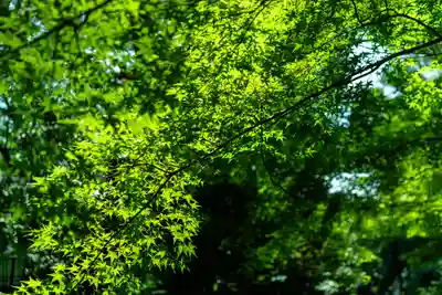 長岡天満宮(京都府)
