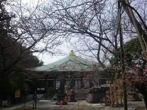 長勝寺の本殿・本堂