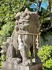 堀越神社(大阪府)