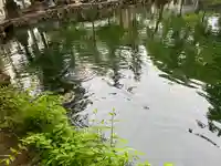 涌釜神社の庭園