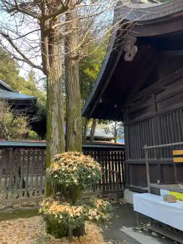 甲斐國一宮 浅間神社のその他建物