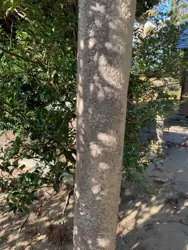 日吉神社(千葉県)
