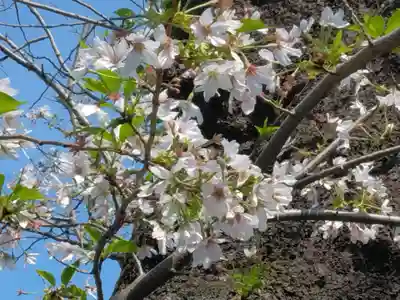 萬福寺(神奈川県)