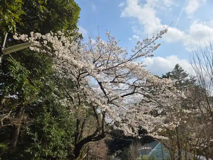 筑波山神社 男体山御本殿(茨城県)