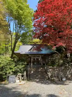 西照神社(徳島県)
