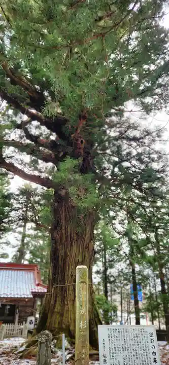 塩原八幡宮の周辺