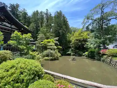 宝登山神社(埼玉県)