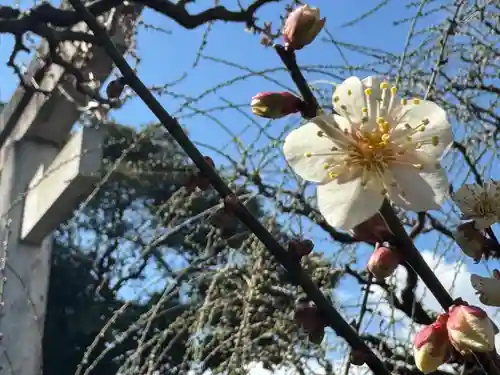 結城神社(三重県)