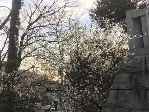 長津田王子神社の自然