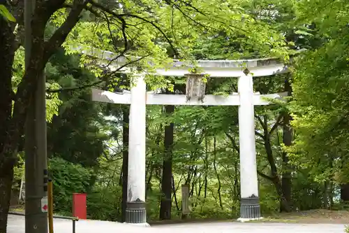 三峯神社(埼玉県)