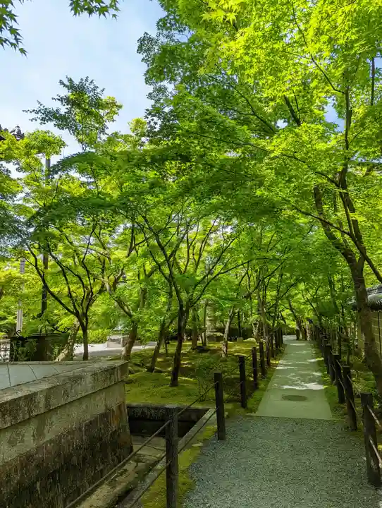 禅林寺(永観堂)(京都府)