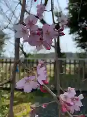 大山祇神社(茨城県)