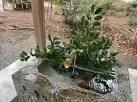 諏訪八幡神社の手水舎