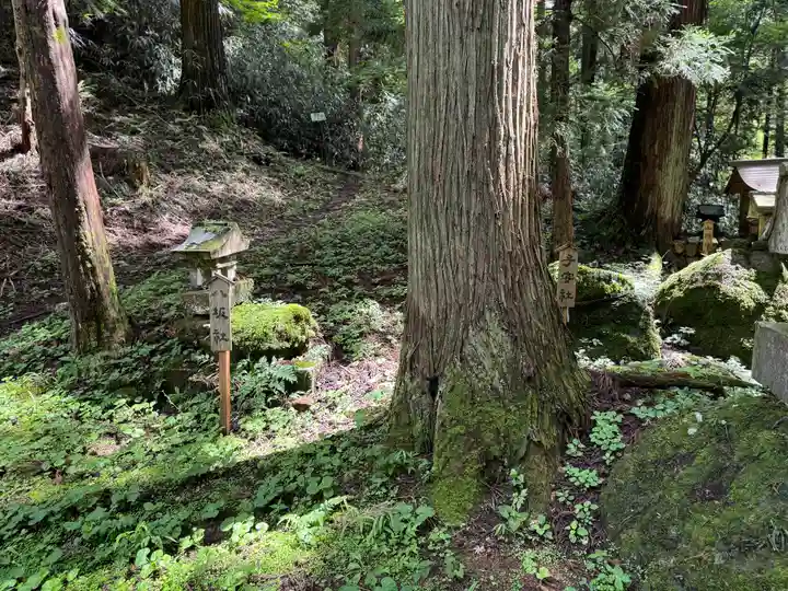 塩野神社(長野県)