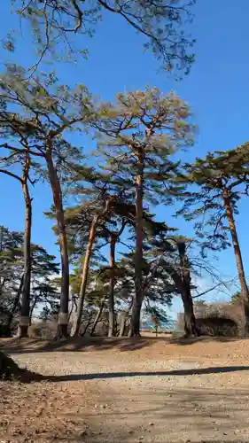 埼玉縣護國神社(埼玉県)