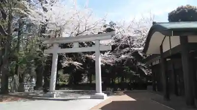 熊野神社の鳥居