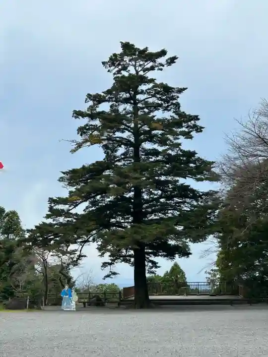 霧島神宮の{uncategorized: "未分類", other: "その他", undefined: "問題あり", building: "その他建物", grave: "お墓", sacred_gate: "鳥居", guardian: "狛犬", statue: "像", buddha: "仏像", history: "歴史", nature: "自然", garden: "庭園", animal: "動物", pagoda: "塔", temizu: "手水舎", mountain_gate: "山門・神門", sanctuary: "本殿・本堂", subordinate: "末社・摂社", art: "芸術", scenery: "景色", jizo: "地蔵", ema: "絵馬", goshuin: "御朱印", omikuji: "おみくじ", items: "授与品その他", amulet: "お守り", goshuincho: "御朱印帳", eats: "食事", festival: "お祭り", votive_dance: "神楽", shichigosan: "七五三参", wedding: "結婚式", experience: "体験その他", initially: "初詣", around: "周辺", anti_infection: "感染症対策"}