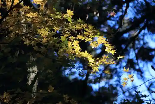 菅船神社の自然