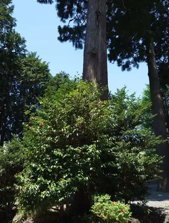 浅間神社(静岡県)