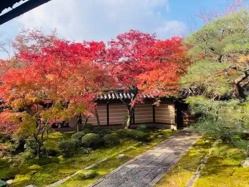 禅林寺（永観堂）(京都府)