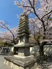 妙顯寺（妙顕寺）(京都府)