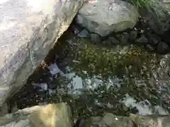 大國魂神社(東京都)