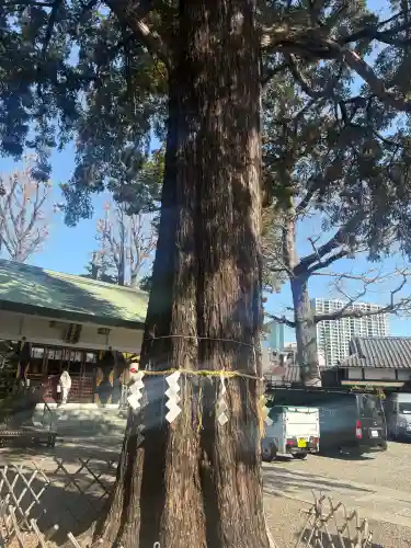 下神明天祖神社の{uncategorized: "未分類", other: "その他", undefined: "問題あり", building: "その他建物", grave: "お墓", sacred_gate: "鳥居", guardian: "狛犬", statue: "像", buddha: "仏像", history: "歴史", nature: "自然", garden: "庭園", animal: "動物", pagoda: "塔", temizu: "手水舎", mountain_gate: "山門・神門", sanctuary: "本殿・本堂", subordinate: "末社・摂社", art: "芸術", scenery: "景色", jizo: "地蔵", ema: "絵馬", goshuin: "御朱印", omikuji: "おみくじ", items: "授与品その他", amulet: "お守り", goshuincho: "御朱印帳", eats: "食事", festival: "お祭り", votive_dance: "神楽", shichigosan: "七五三参", wedding: "結婚式", experience: "体験その他", initially: "初詣", around: "周辺", anti_infection: "感染症対策"}