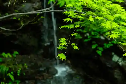 戸隠神社奥社(長野県)