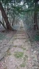 伊波乃西神社の自然