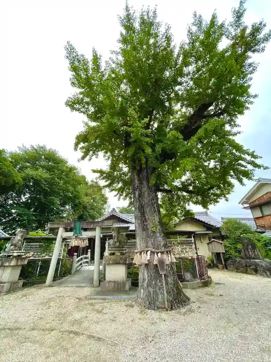 市杵島姫神社の自然