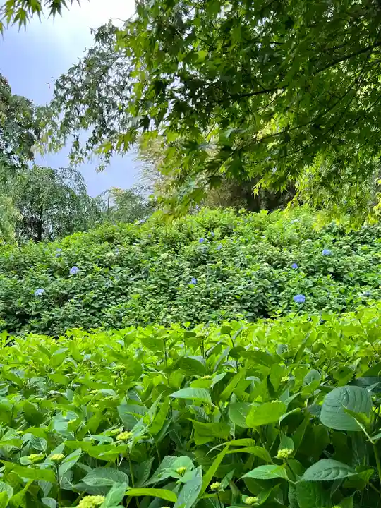 雲昌寺(秋田県)