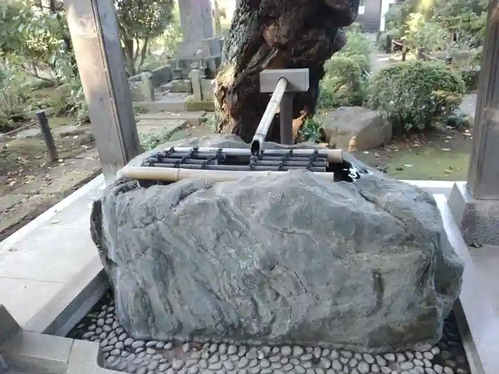 妙楽寺の手水舎