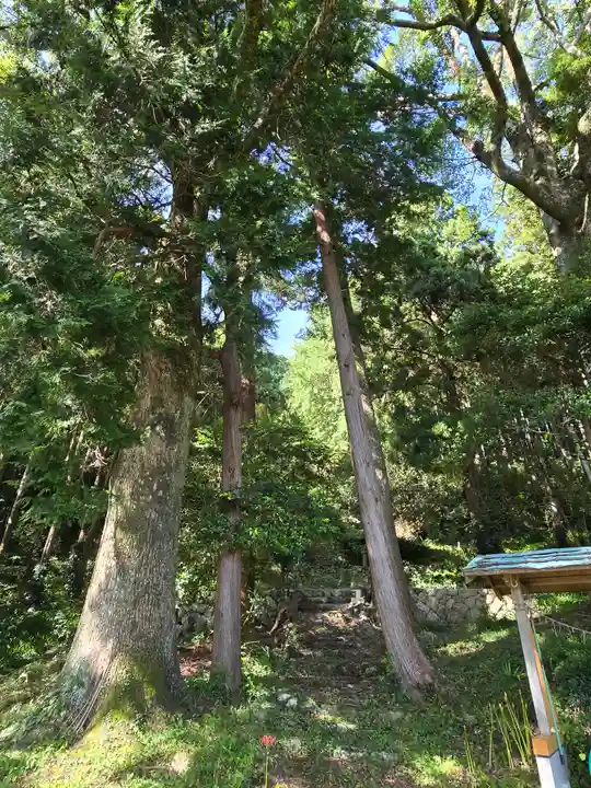 葉梨神社(静岡県)