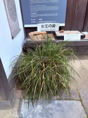 退蔵院(京都府)