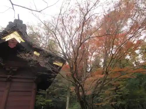 妙本寺の景色