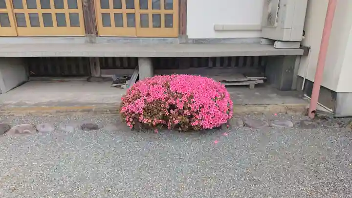 祥雲寺(静岡県)