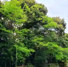 府八幡宮(静岡県)