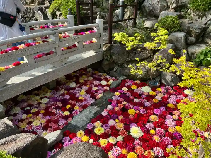 岡寺(龍蓋寺)の{uncategorized: "未分類", other: "その他", undefined: "問題あり", building: "その他建物", grave: "お墓", sacred_gate: "鳥居", guardian: "狛犬", statue: "像", buddha: "仏像", history: "歴史", nature: "自然", garden: "庭園", animal: "動物", pagoda: "塔", temizu: "手水舎", mountain_gate: "山門・神門", sanctuary: "本殿・本堂", subordinate: "末社・摂社", art: "芸術", scenery: "景色", jizo: "地蔵", ema: "絵馬", goshuin: "御朱印", omikuji: "おみくじ", items: "授与品その他", amulet: "お守り", goshuincho: "御朱印帳", eats: "食事", festival: "お祭り", votive_dance: "神楽", shichigosan: "七五三参", wedding: "結婚式", experience: "体験その他", initially: "初詣", around: "周辺", anti_infection: "感染症対策"}