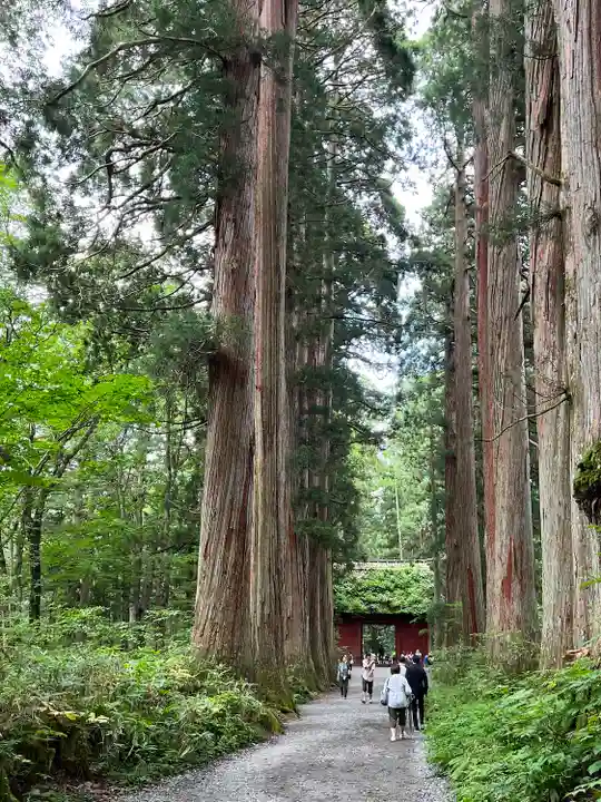 戸隠神社奥社(長野県)