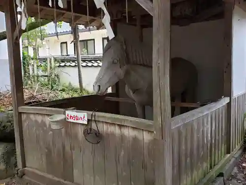 春日神社の動物