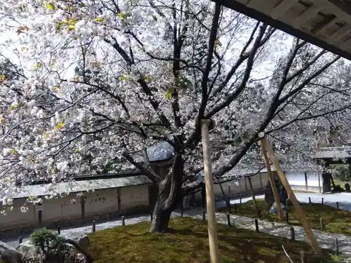 常照皇寺(京都府)