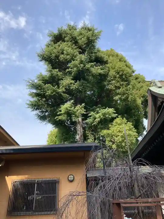 鳩ヶ谷氷川神社(埼玉県)