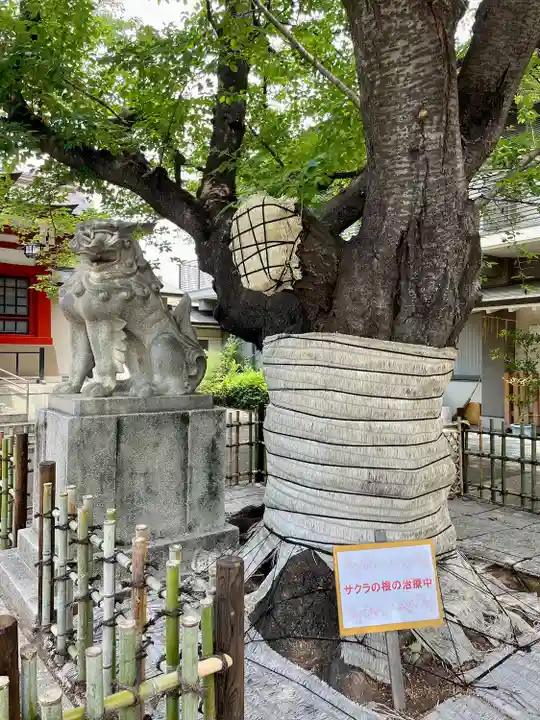 旗岡八幡神社(東京都)